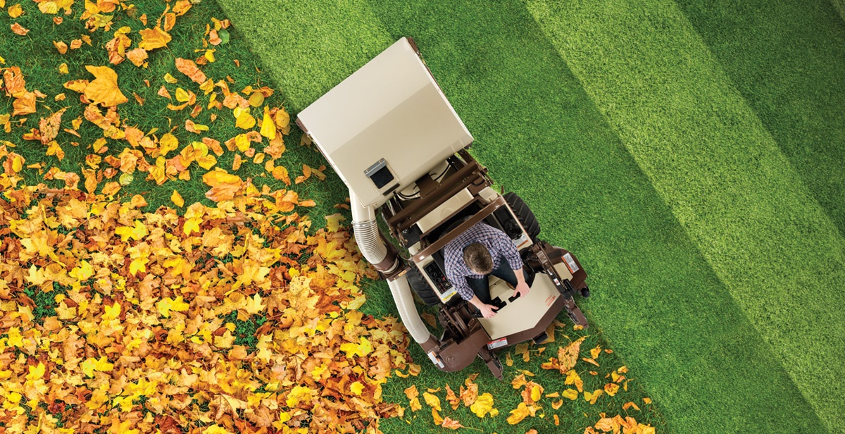 LEAF_Pickup_FallReserve.jpg LEAF_Pickup_FallReserve.jpg